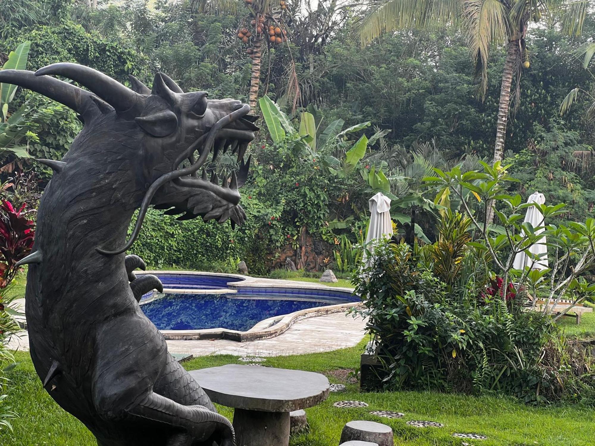 Great Mountain Views Villa Resort Selat Esterno foto