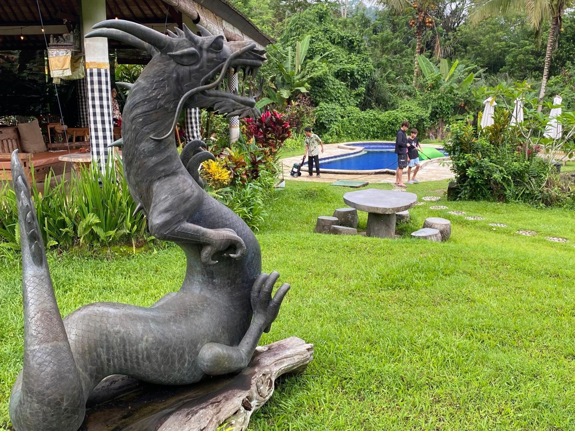 Great Mountain Views Villa Resort Selat Esterno foto